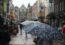 person holding floral umbrella between buildings