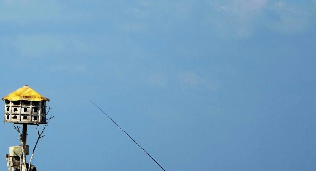 a man fishing on a lake with a tower in the background