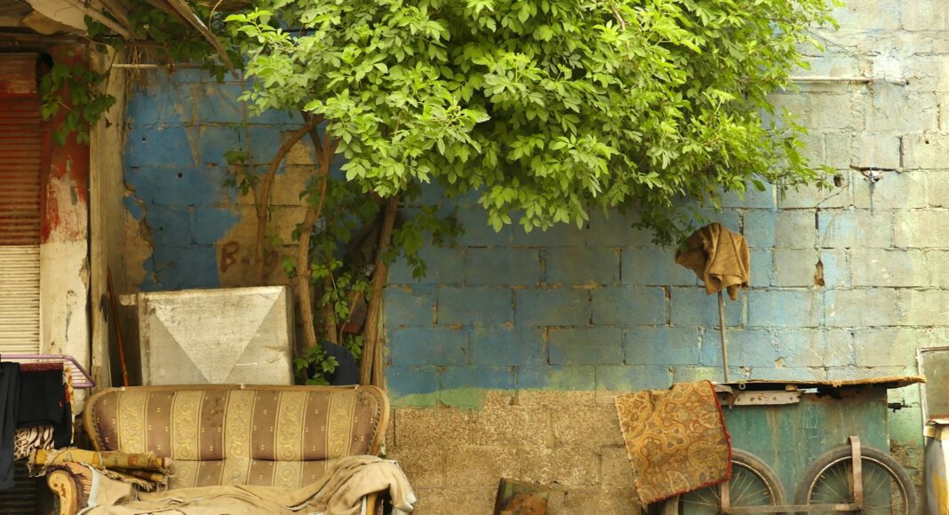 a dirty couch sitting next to a tree in front of a building
