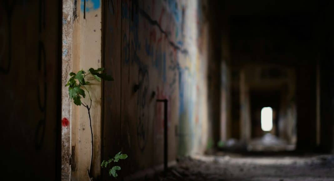 a vase of flowers sits in front of a building
