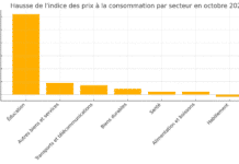L’indice des prix à la consommation progresse de 22,1 % en octobre 2024 selon la CAS