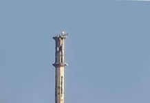 Le Hezbollah tire 2 roquettes sur le nord d'Israël qui est accusé de violer le cessez-le-feu au Liban par les USA et la France