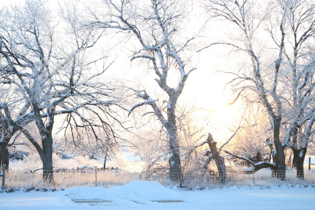 a snow covered field with trees and a fence