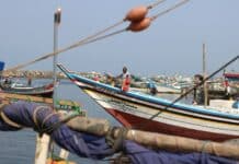 a group of boats that are sitting in the water