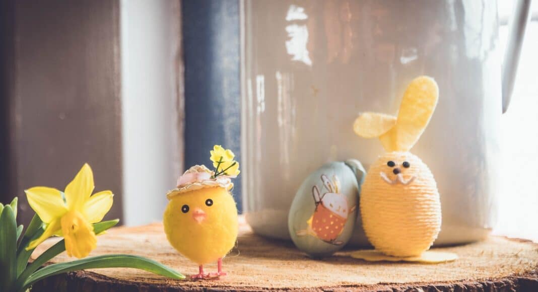 yellow bird plush toy on brown wood