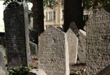 Revue de presse israélienne: A cemetery with headstones and trees in the background
