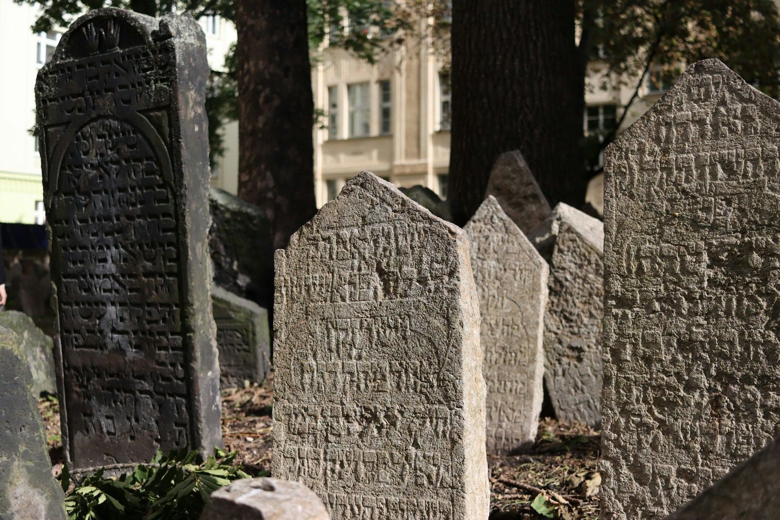 A cemetery with headstones and trees in the background