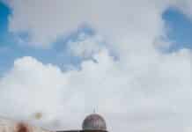 brown dome building during daytime