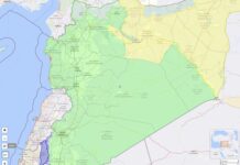 Que se passe-t-il en Syrie ?