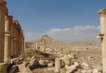 Palmyre, Alep et les trésors perdus : Sauver l’âme culturelle de la Syrie brown concrete building under blue sky during daytime