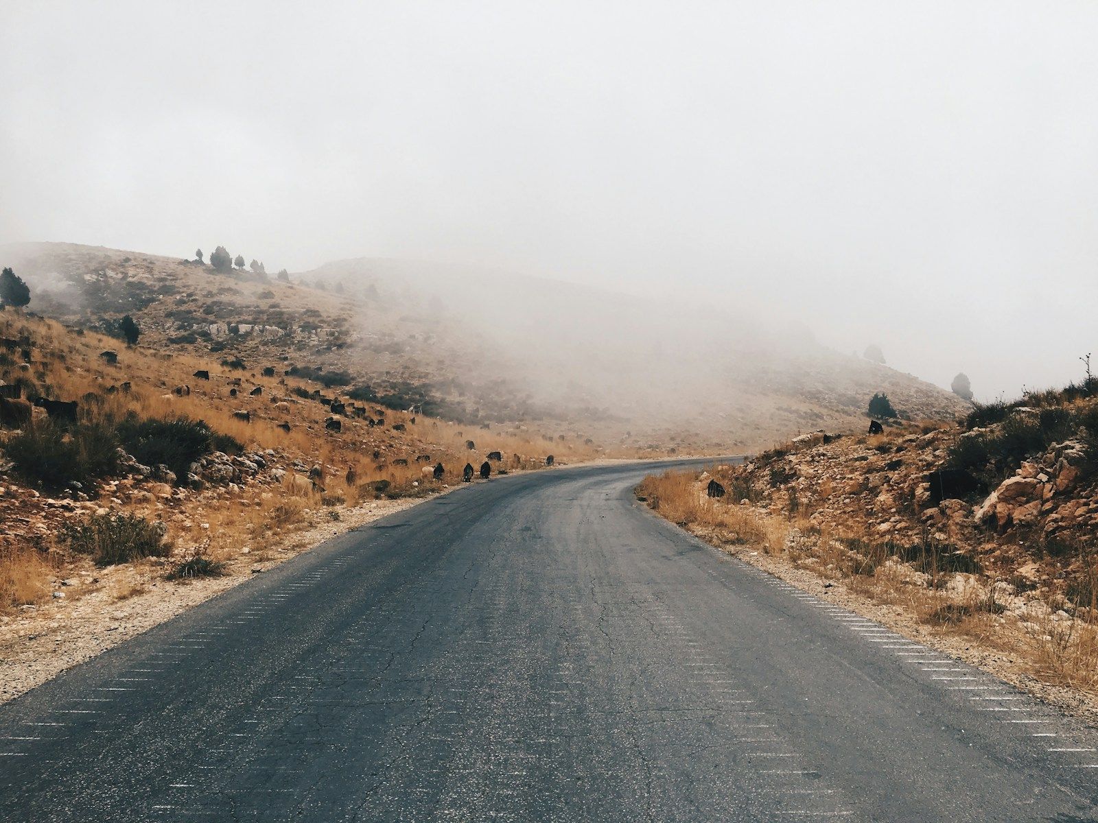 Perspectives économiques pour le Liban en 2025 : une croissance fragile dans un scénario de crise désordonné gray asphalt road near brown mountain during daytime