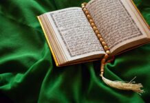 white book page on green textile