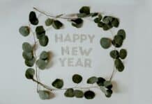 Vœux de bonne et heureuse année 2025 à toutes et à tous green leaves