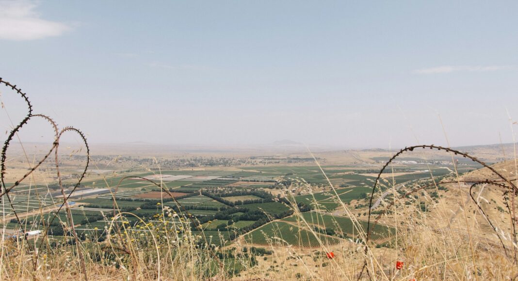 green field under white and gray sky