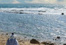 a woman standing on a beach next to the ocean