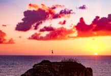 flag on top of rock formation in the middle of sea