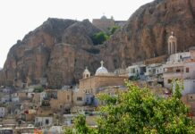A view of a city with a mountain in the background