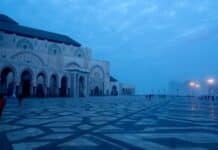 Le rôle de l’Arabie saoudite dans le maintien de la cause palestinienne sur la scène internationale people walking on street near building during daytime
