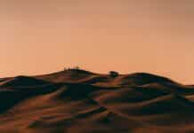 Perspective: Les enjeux politiques et diplomatiques au Proche-Orient en 2025 people walking on desert during daytime