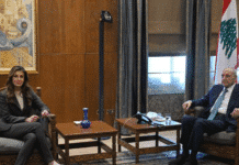 Pressions sur Beyrouth : Berri met en garde contre une dérive sous influence israélienne