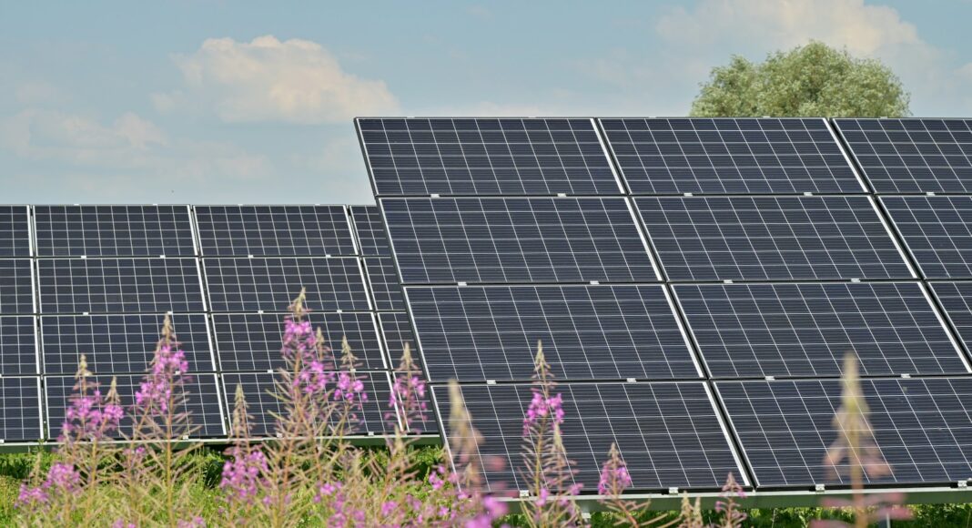black solar panels on purple flower field during daytime