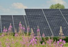 black solar panels on purple flower field during daytime
