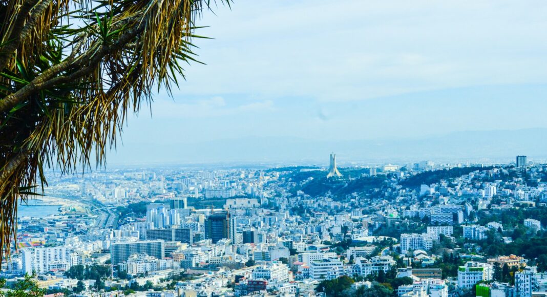 green palm tree near city buildings during daytime