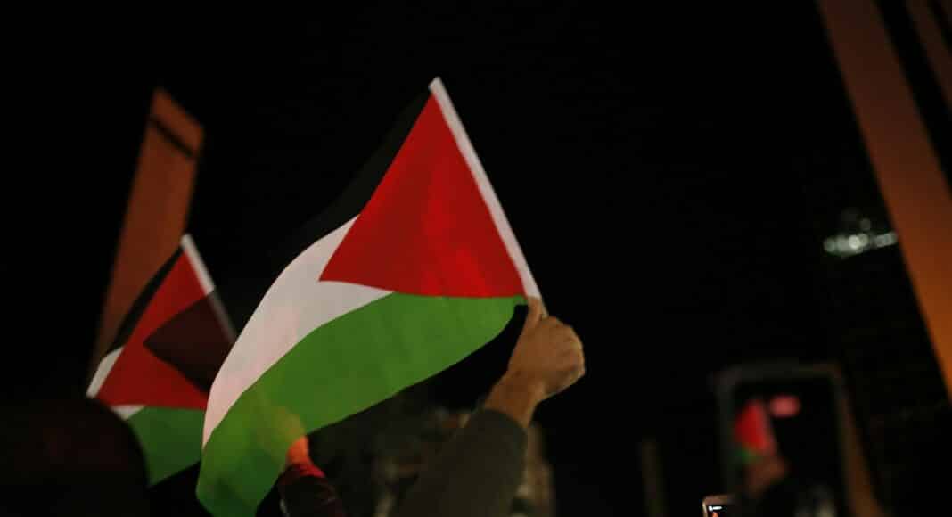 person holding green white and red flag