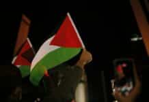 Israël organise « le départ volontaire » des Gazaouis person holding green white and red flag