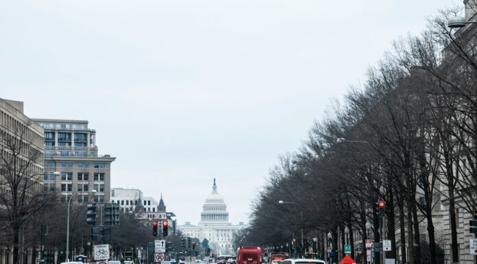 vehicles on road during daytime