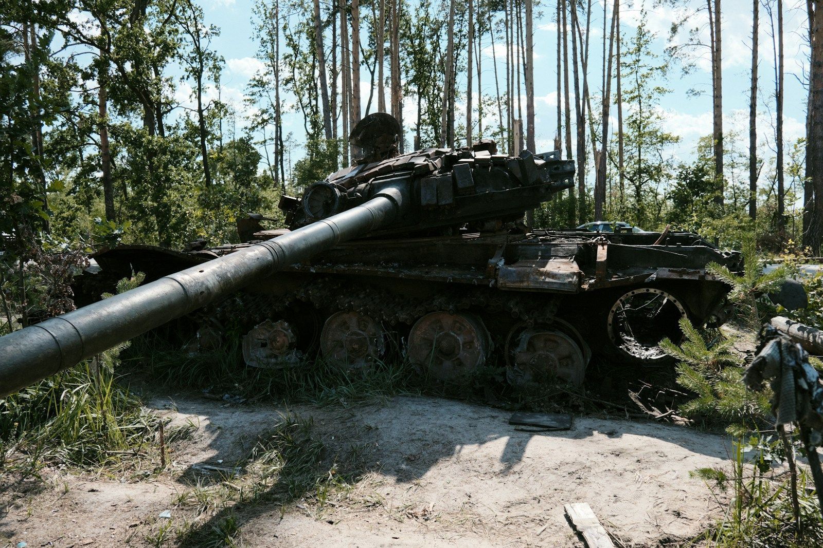 Les nouvelles stratégies américaines en Ukraine sous Donald Trump an old tank sitting in the middle of a forest