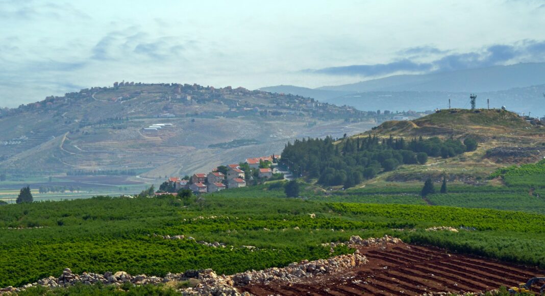 A green field with a mountain in the background