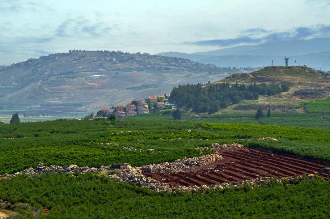 A green field with a mountain in the background