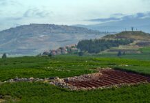 ANALYSE: Le mécanisme des comités tripartites au Liban, outil de paix ou outil de normalisation ? A green field with a mountain in the background