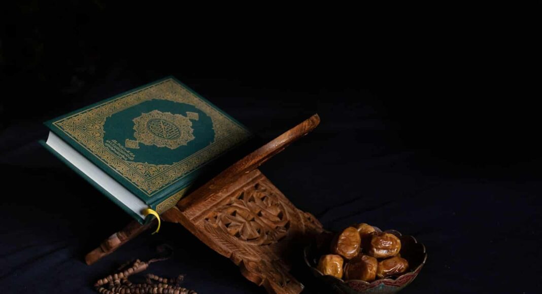 blue book beside brown wooden stick