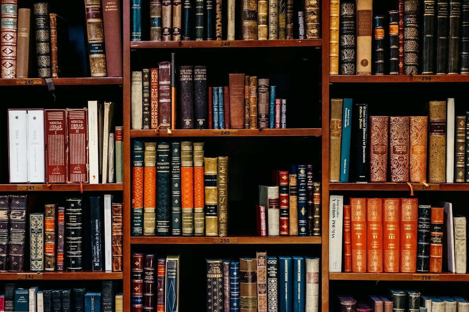 Les voix libanaises sur la scène mondiale: les auteurs qui transcendent les frontières assorted-title of books piled in the shelves
