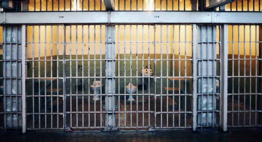 brown and white short coated dog in cage