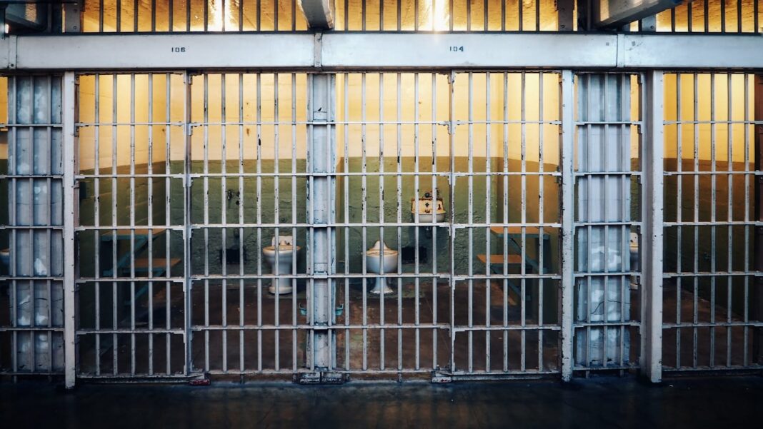 brown and white short coated dog in cage