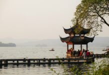 people on brown wooden dock during daytime