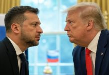 Clash orchestré : Trump se jouerait-il de Zelensky pour dealer avec Poutine