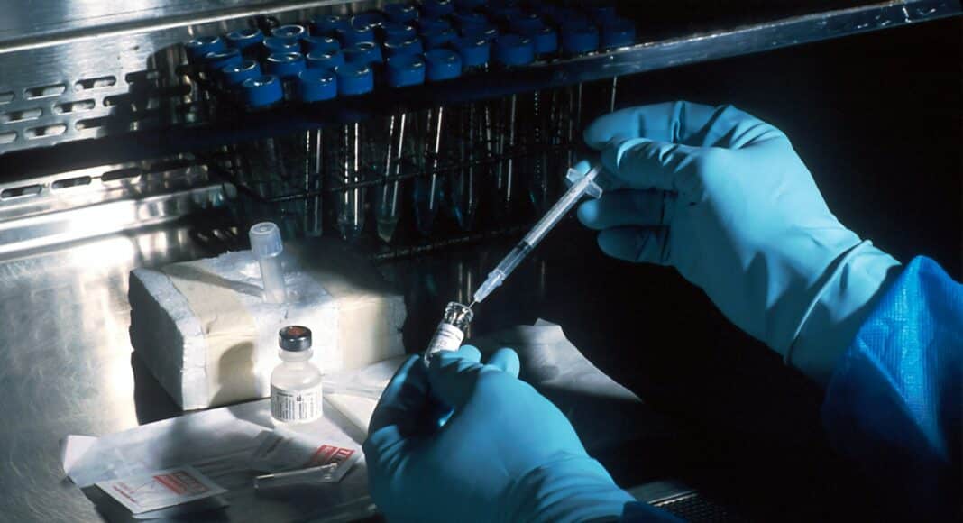 person holding silver and black hand tool