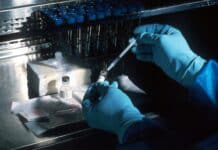 Liban : une explosion des maladies infectieuses menace une population déjà fragilisée person holding silver and black hand tool