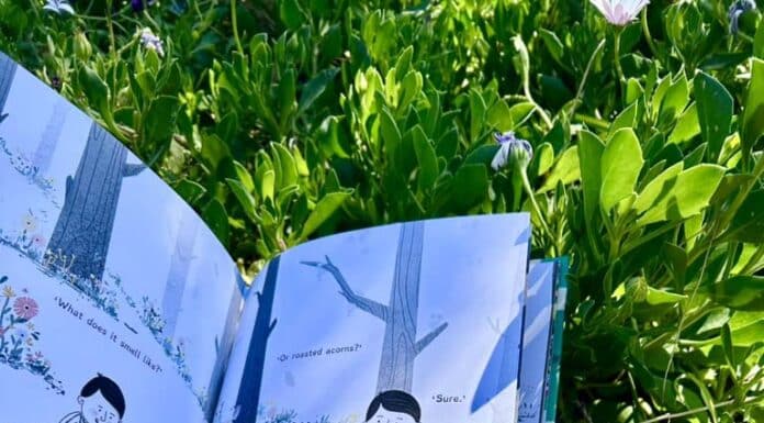 Luqoom sort un nouveau livre pour enfants:« The Little Boy Who Lost His Joy »