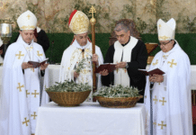 ​Liban : Le cardinal Béchara Raï appelle à la paix et à la purification de la mémoire