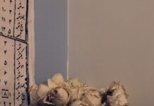 a vase filled with white flowers next to a wall