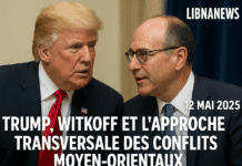 Trump, Witkoff et l’approche transversale des conflits moyen-orientaux
