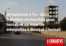 Arrestation à Tyr : deux individus recherchés pour tentative de meurtre interpellés par la Sûreté libanaise