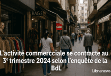 L’activité commerciale au Liban se contracte au 3ᵉ trimestre 2024, confirmant l’essoufflement de la demande intérieure L’activité commerciale au Liban se contracte au 3ᵉ trimestre 2024, confirmant l’essoufflement de la demande intérieure