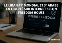 Le Liban classé 41ᵉ mondial et 3ᵉ arabe en liberté sur Internet selon Freedom House