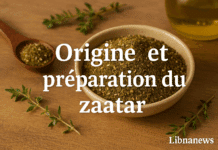 Zaatar dans tous ses états : recettes et usages